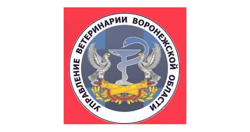 ВНИМАНИЕ!.